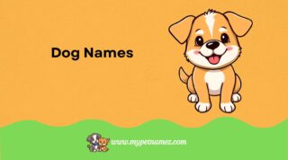 301 Unique and Funny Black Dog Names: Find the Perfect Idea