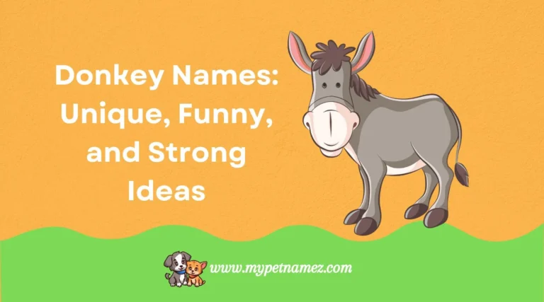 Top 301+ Donkey Names: Unique, Funny, and Strong Ideas