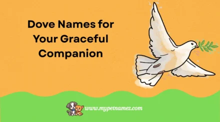 301 Cute & Unique Dove Names for Your Graceful Companion