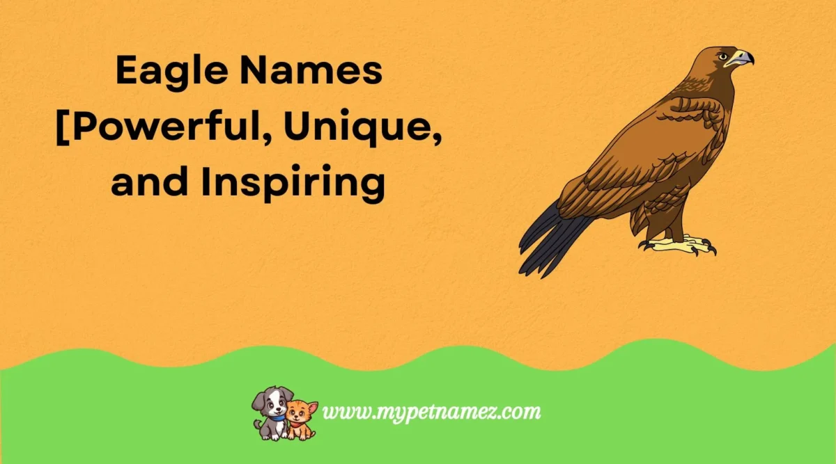 301 Eagle Names [Powerful, Unique, and Inspiring Ideas]