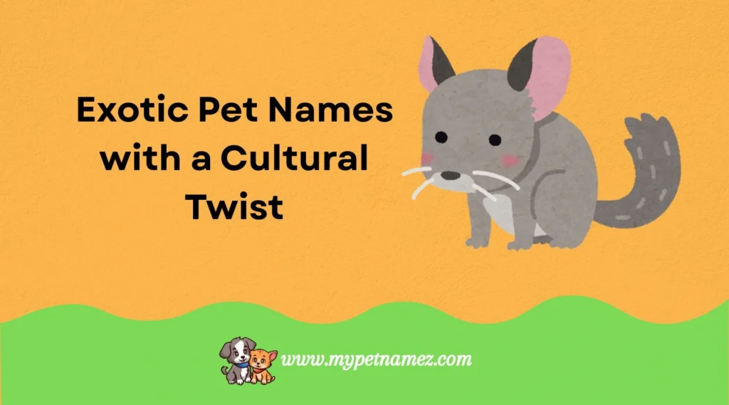 Exotic Pet Names with a Cultural Twist
