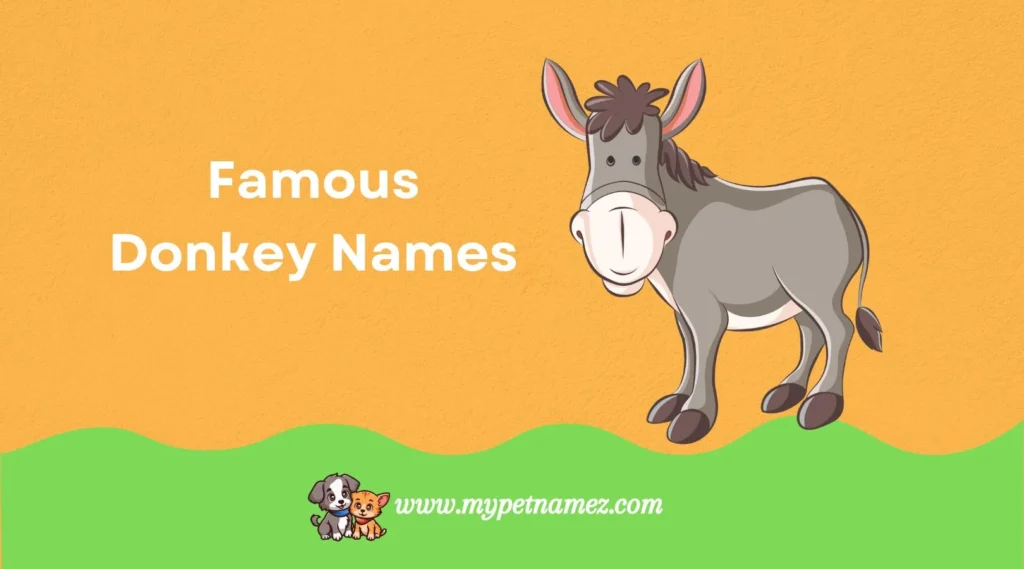 Famous Donkey Names
