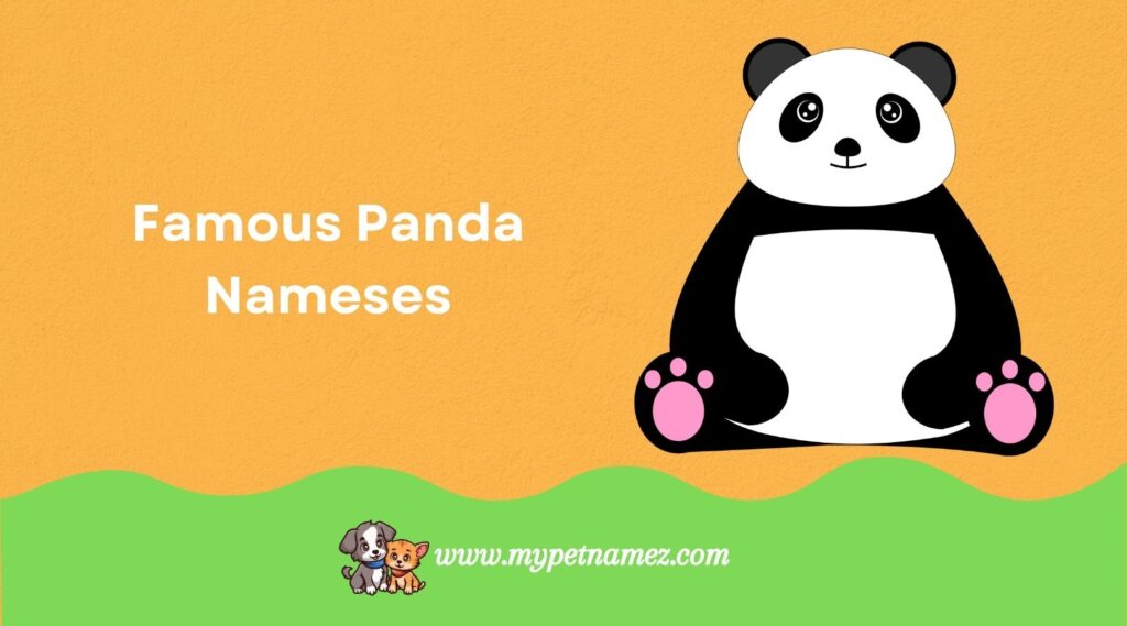 Famous Panda Names