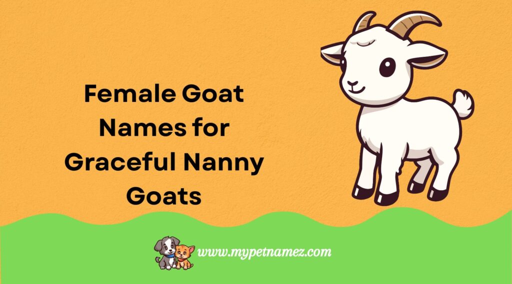 Female Goat Names for Graceful Nanny Goats