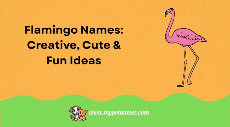 301 Elegant Flamingo Names: Creative, Cute & Fun Ideas