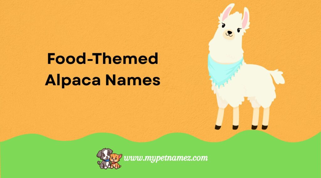 Food-Themed Alpaca Names