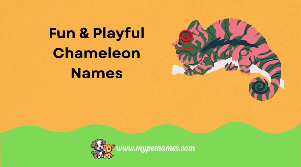 Fun & Playful Chameleon Names