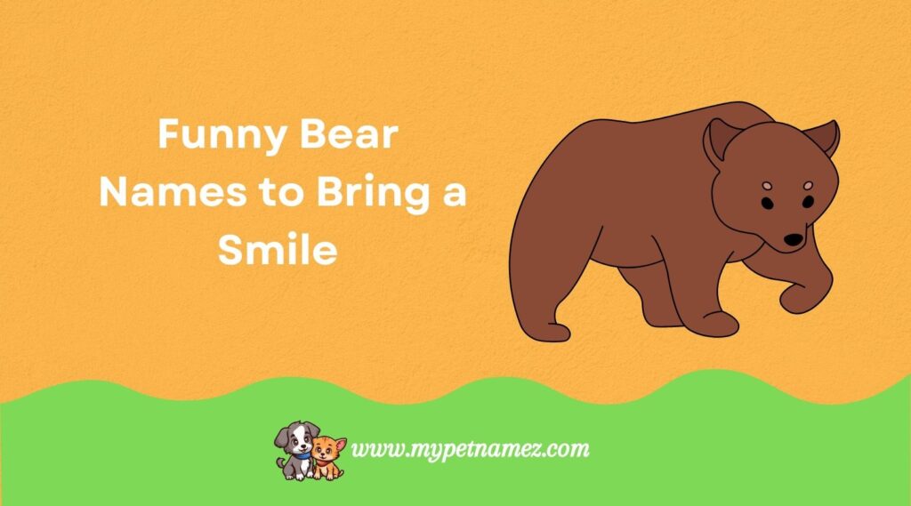 Funny Bear Names to Bring a Smile