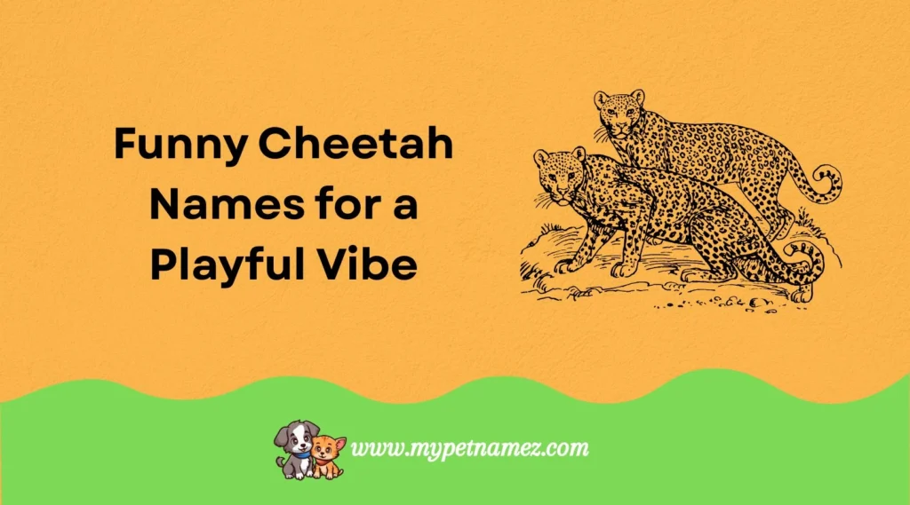 Funny Cheetah Names for a Playful Vibe