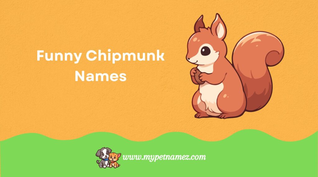 Funny Chipmunk Names