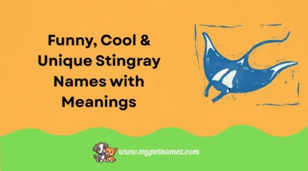 301 Funny, Cool & Unique Stingray Names with Meanings