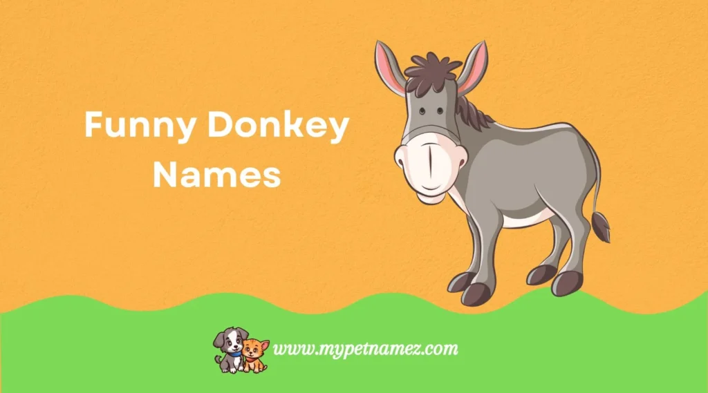 Funny Donkey Names