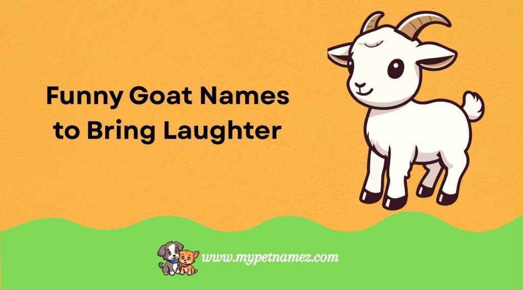 Funny Goat Names to Bring Laughter