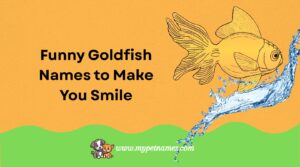 Goldfish Names