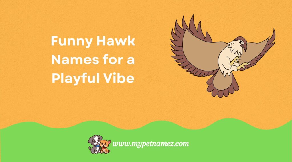 Funny Hawk Names for a Playful Vibe