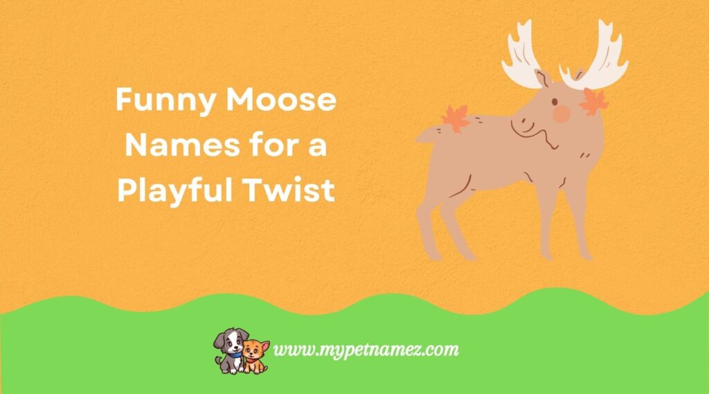 Funny Moose Names for a Playful Twist