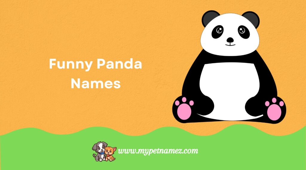 Funny Panda Names
