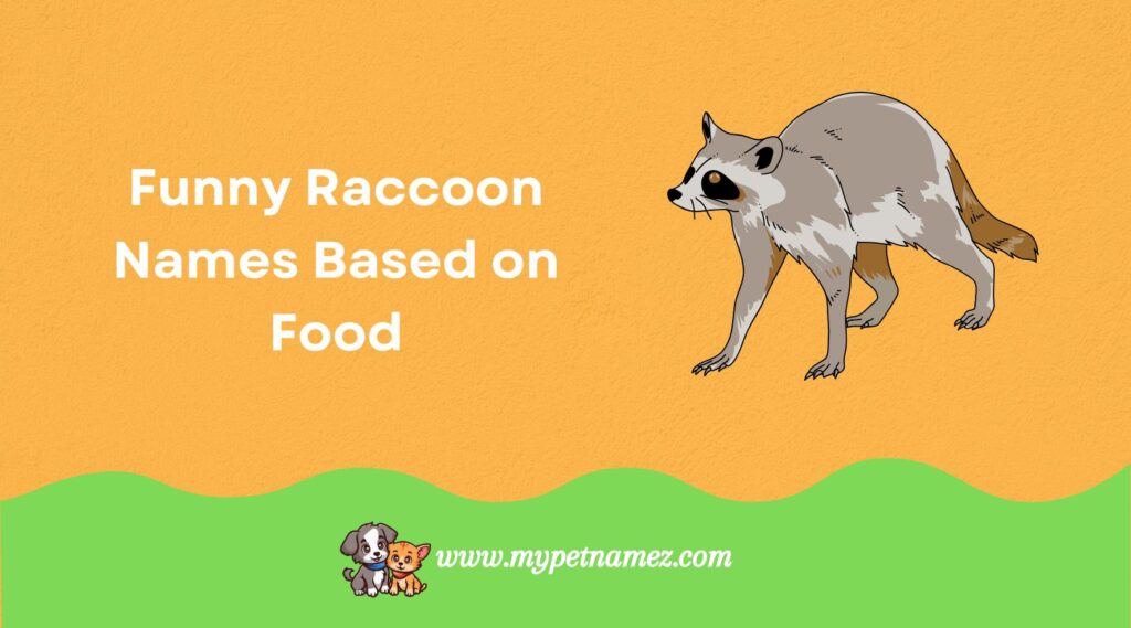 Funny Raccoon Names Based on Food