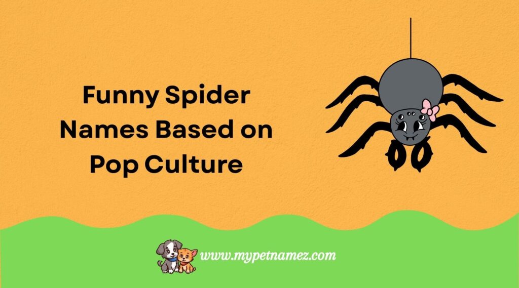 Funny Spider Names Based on Pop Culture