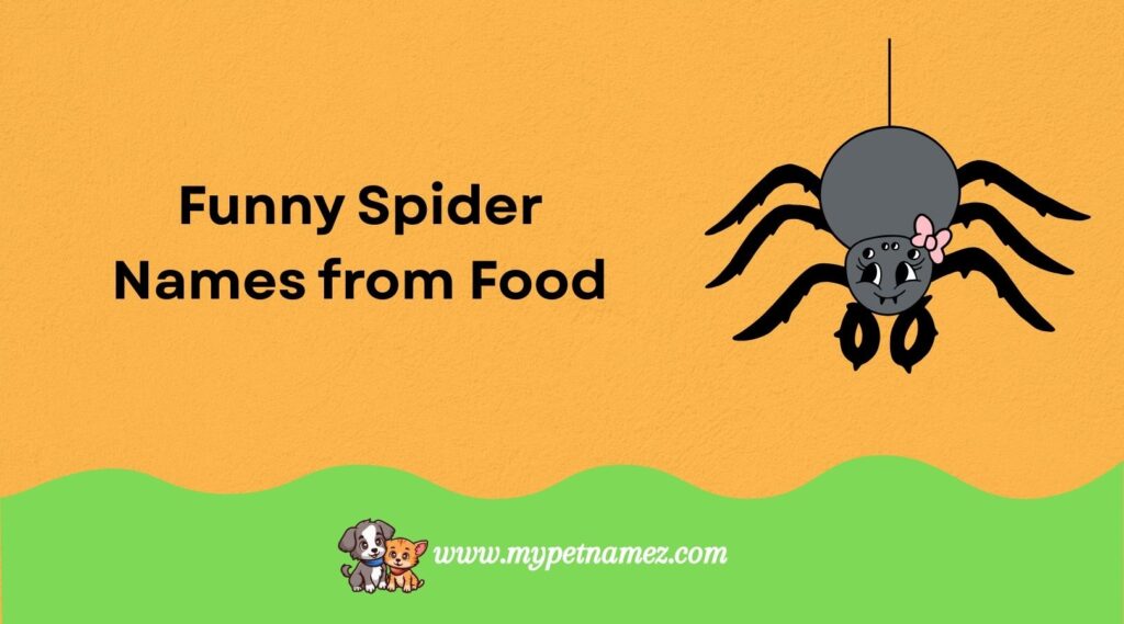 Funny Spider Names from Food