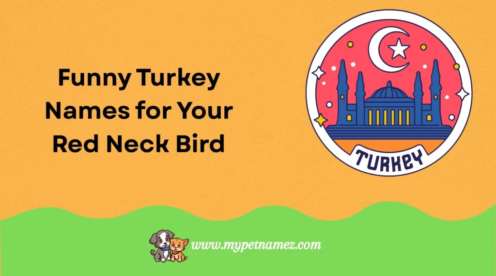 Funny Turkey Names for Your Red Neck Bird