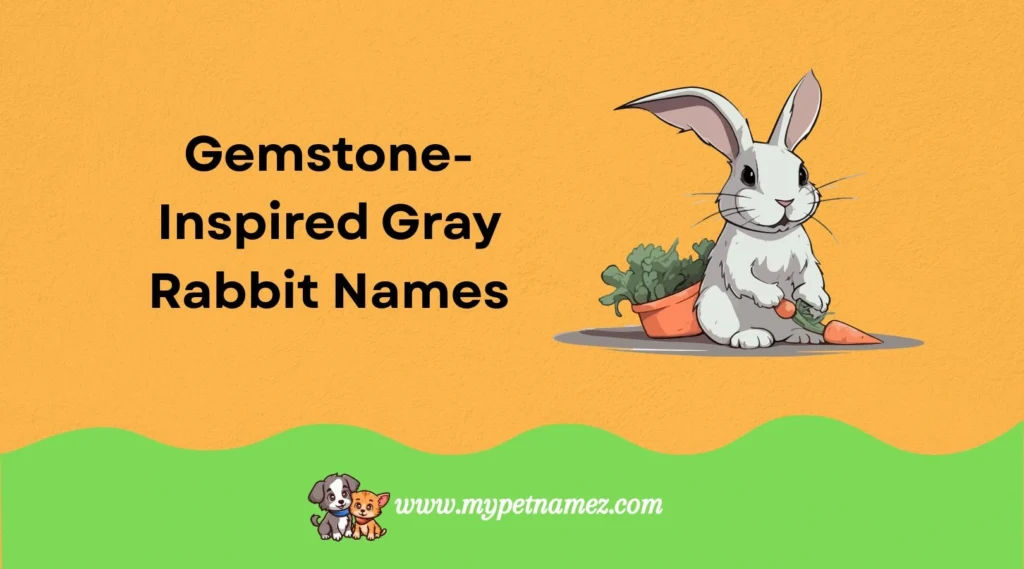 Gemstone-Inspired Gray Rabbit Names