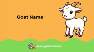301 Goat Name Ideas: From Classic to Quirky for Your Goat