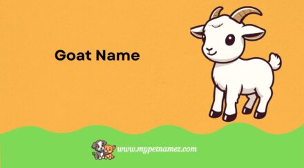 301 Goat Name Ideas: From Classic to Quirky for Your Goat