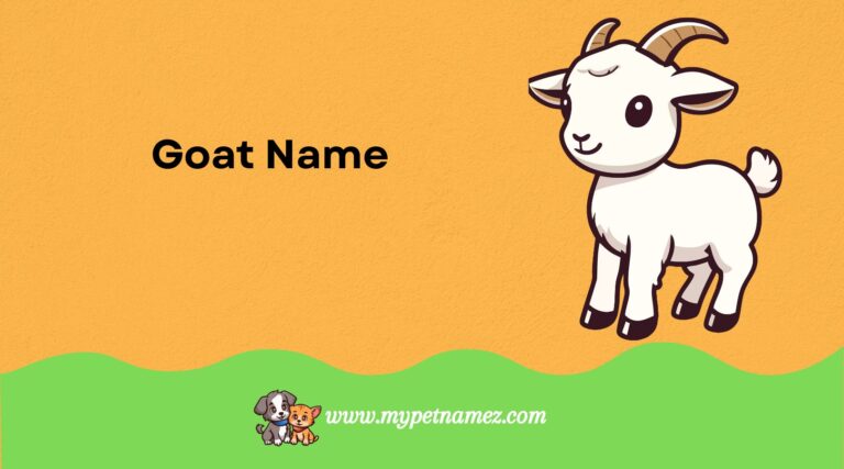 301 Goat Name Ideas: From Classic to Quirky for Your Goat