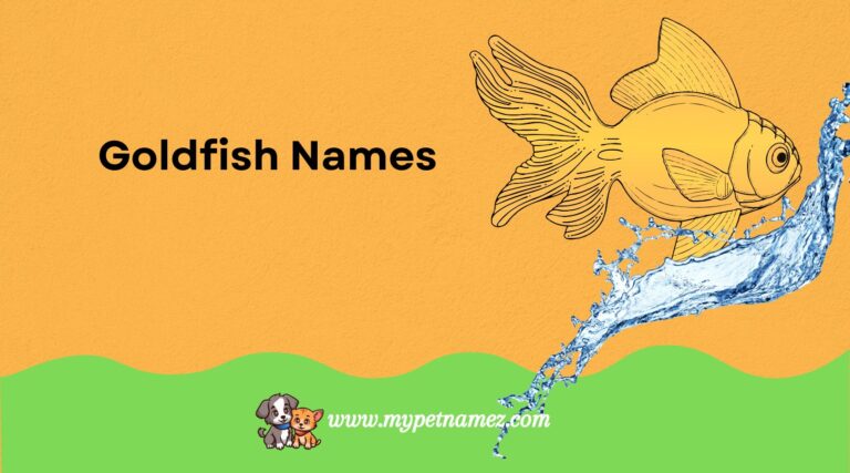 301 Best Goldfish Names [Unique, Funny, and Popular Ideas]