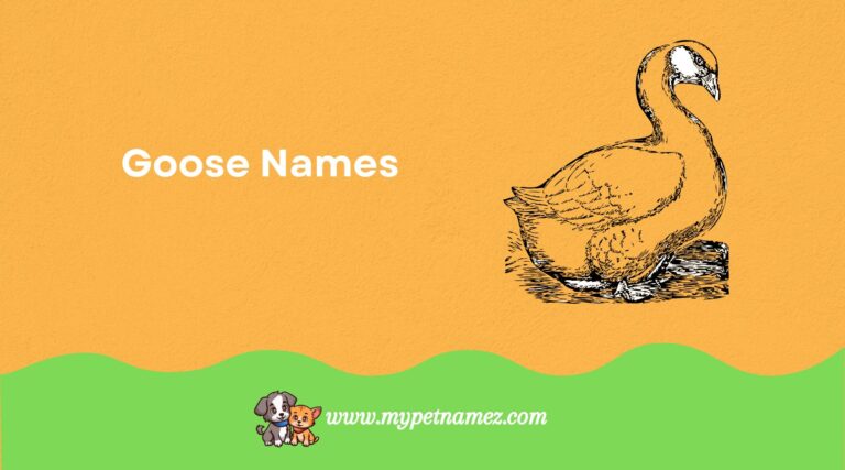 Top 301+ Funny & Unique Goose Names with Meanings