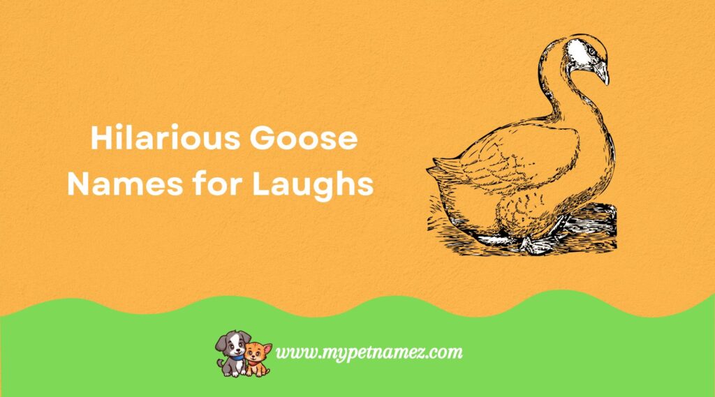 Hilarious Goose Names for Laughs