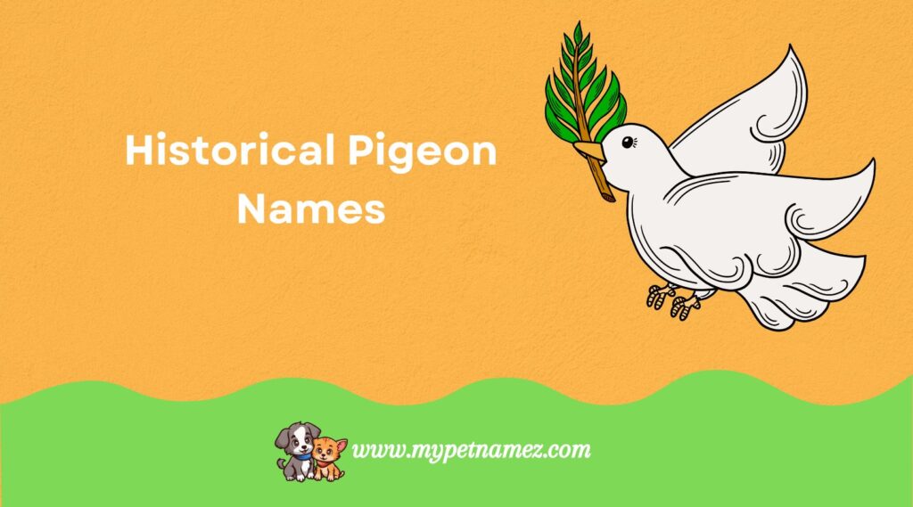 Historical Pigeon Names