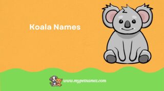 Cute and Unique Koala Names for Your Furry Friend