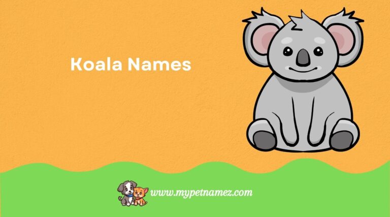 Cute and Unique Koala Names for Your Furry Friend