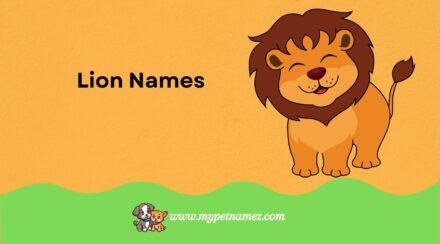 301 Lion Names: Powerful, Cute, and Unique Name Ideas