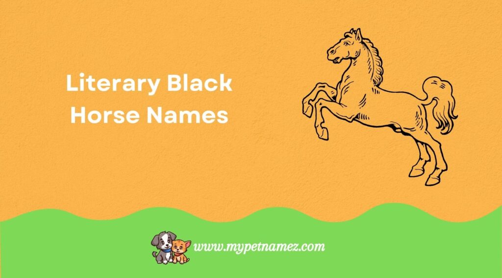 Literary Black Horse Names