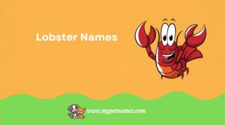 301 Lobster Names [Creative and Unique Ideas]