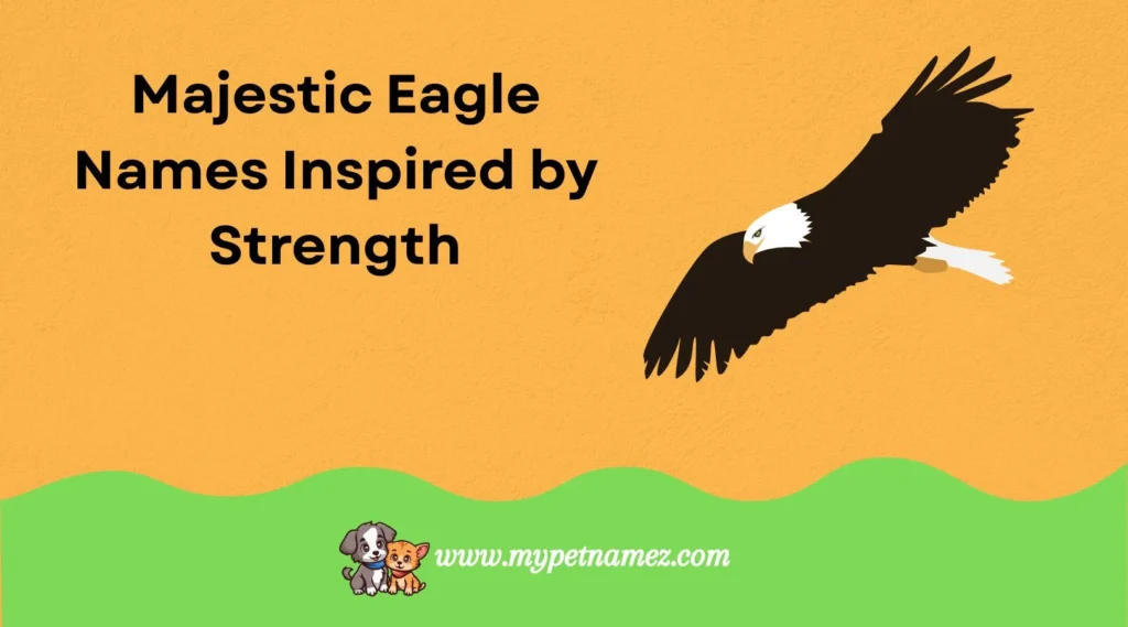 Majestic Eagle Names Inspired by Strength