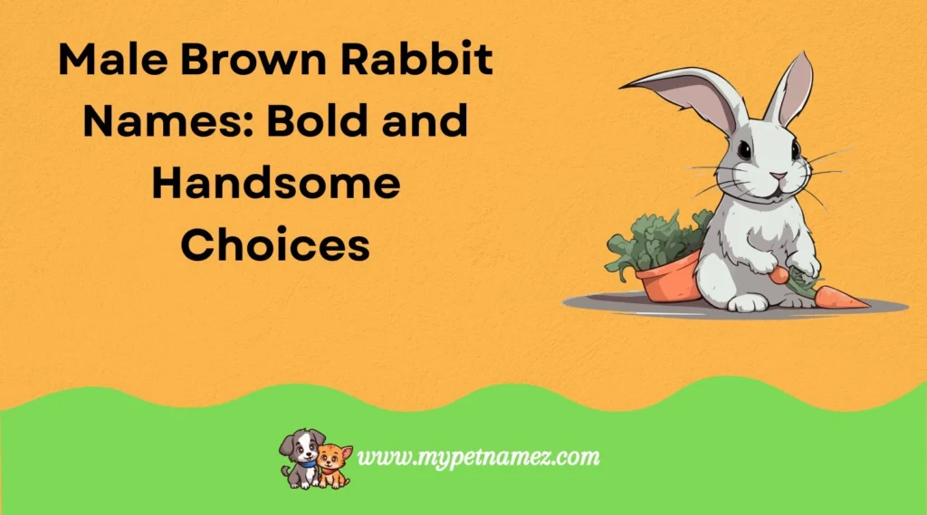 Male Brown Rabbit Names: Bold and Handsome Choices