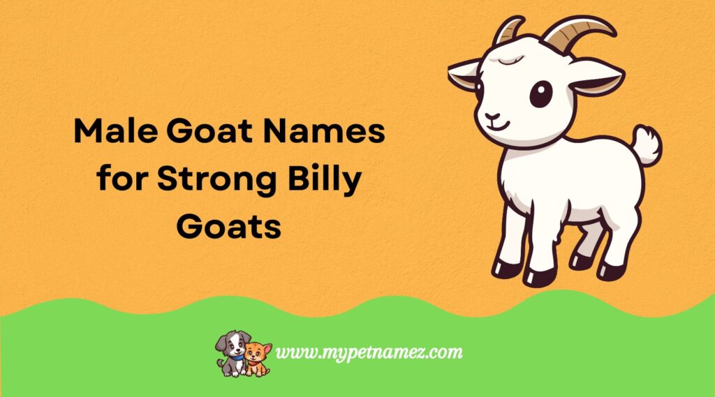 Male Goat Names for Strong Billy Goats