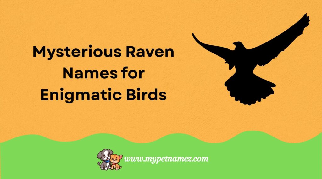 Mysterious Raven Names for Enigmatic Birds