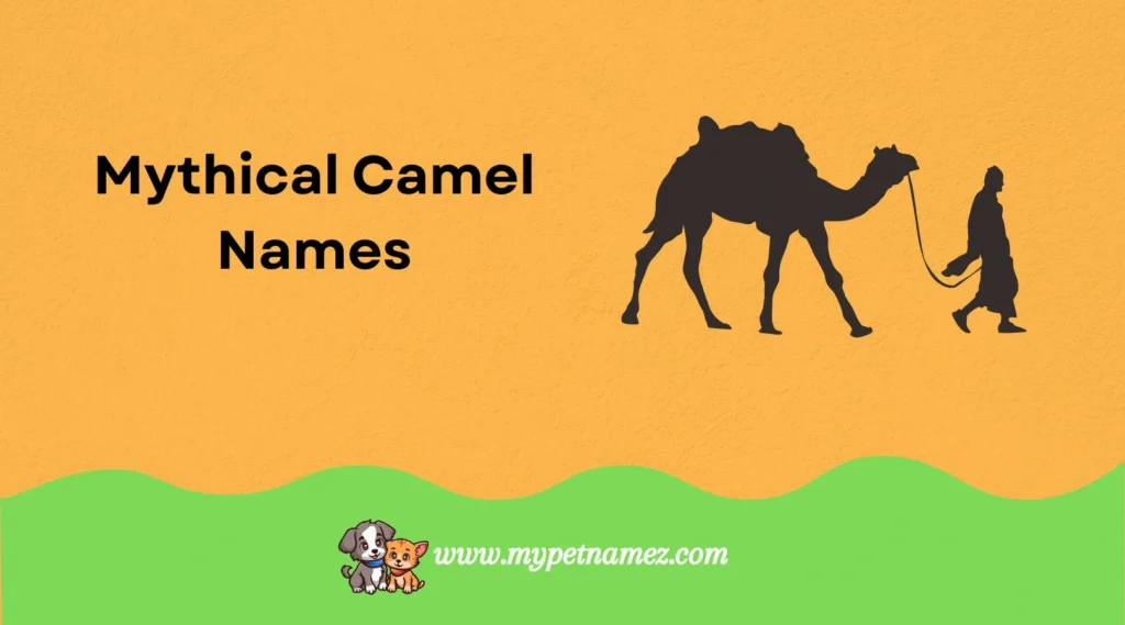 Mythical Camel Names