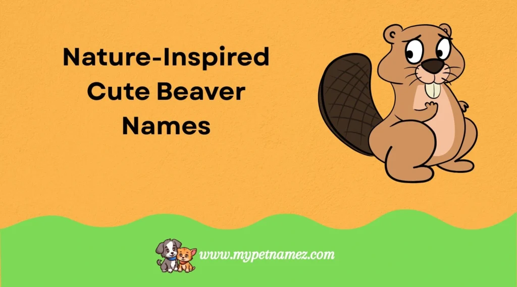 Nature-Inspired Cute Beaver Names