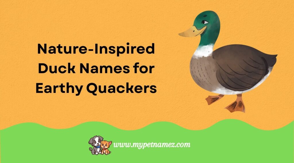 Nature-Inspired Duck Names for Earthy Quackers