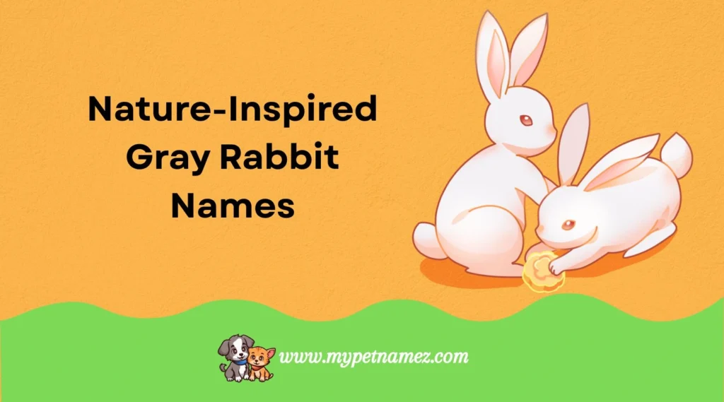 Nature-Inspired Gray Rabbit Names