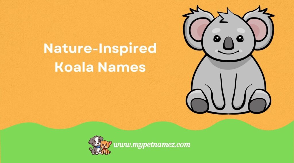 Nature-Inspired Koala Names