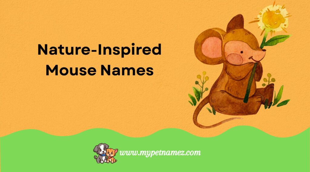 Nature-Inspired Mouse Names