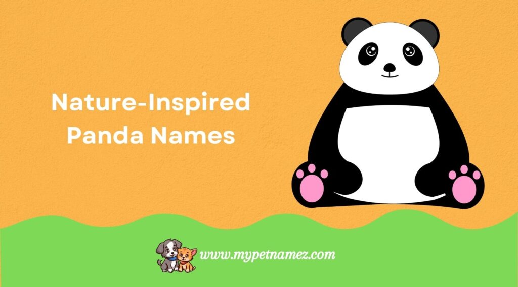 Nature-Inspired Panda Names