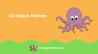 301 Catchy & Funny Octopus Names [Best Ideas]